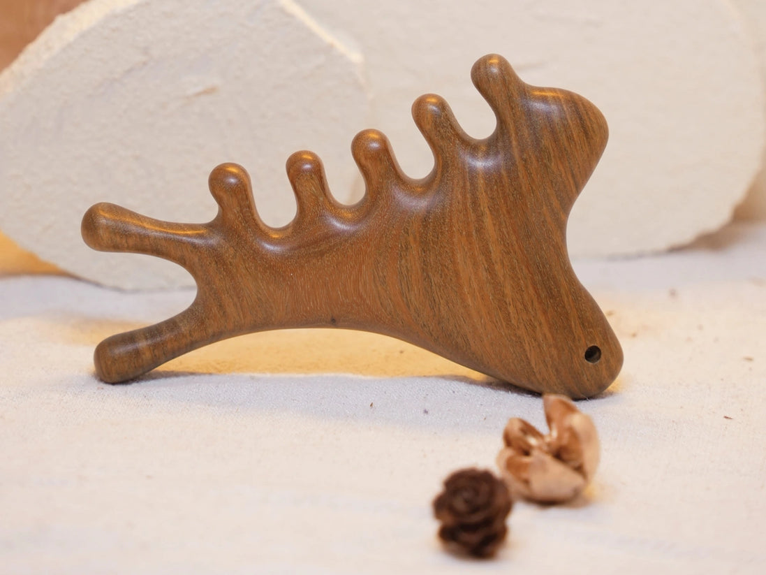 Scalp & Body Comb Ritual with Ouri Flow Comb